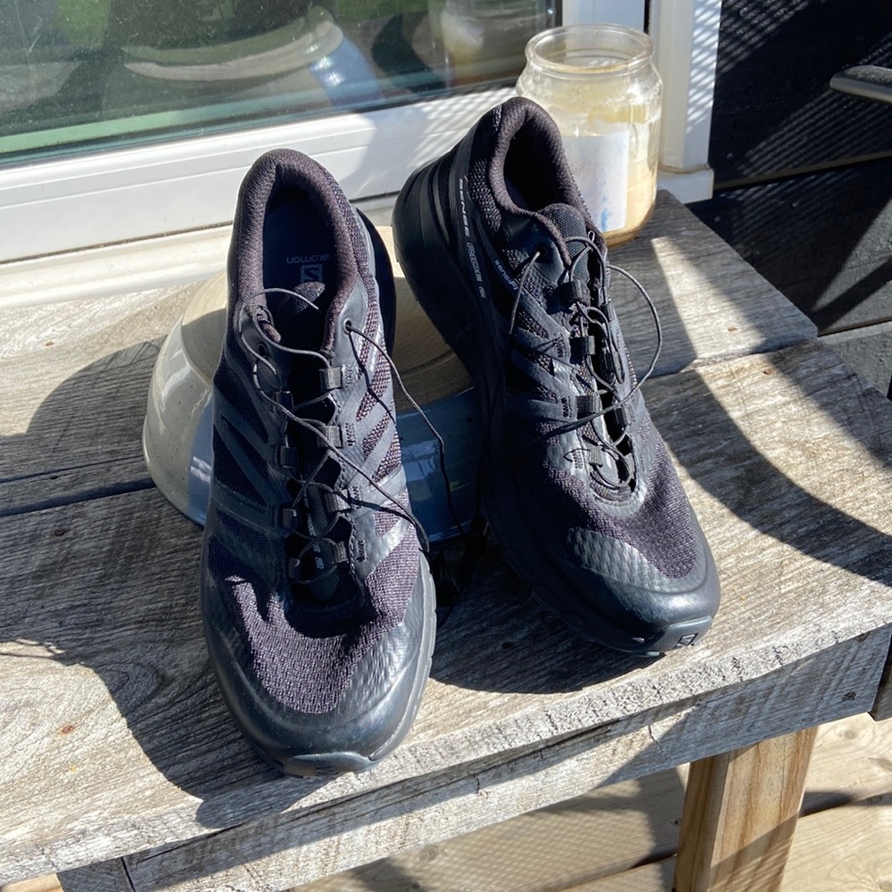 Salomon sense ride 2 runners